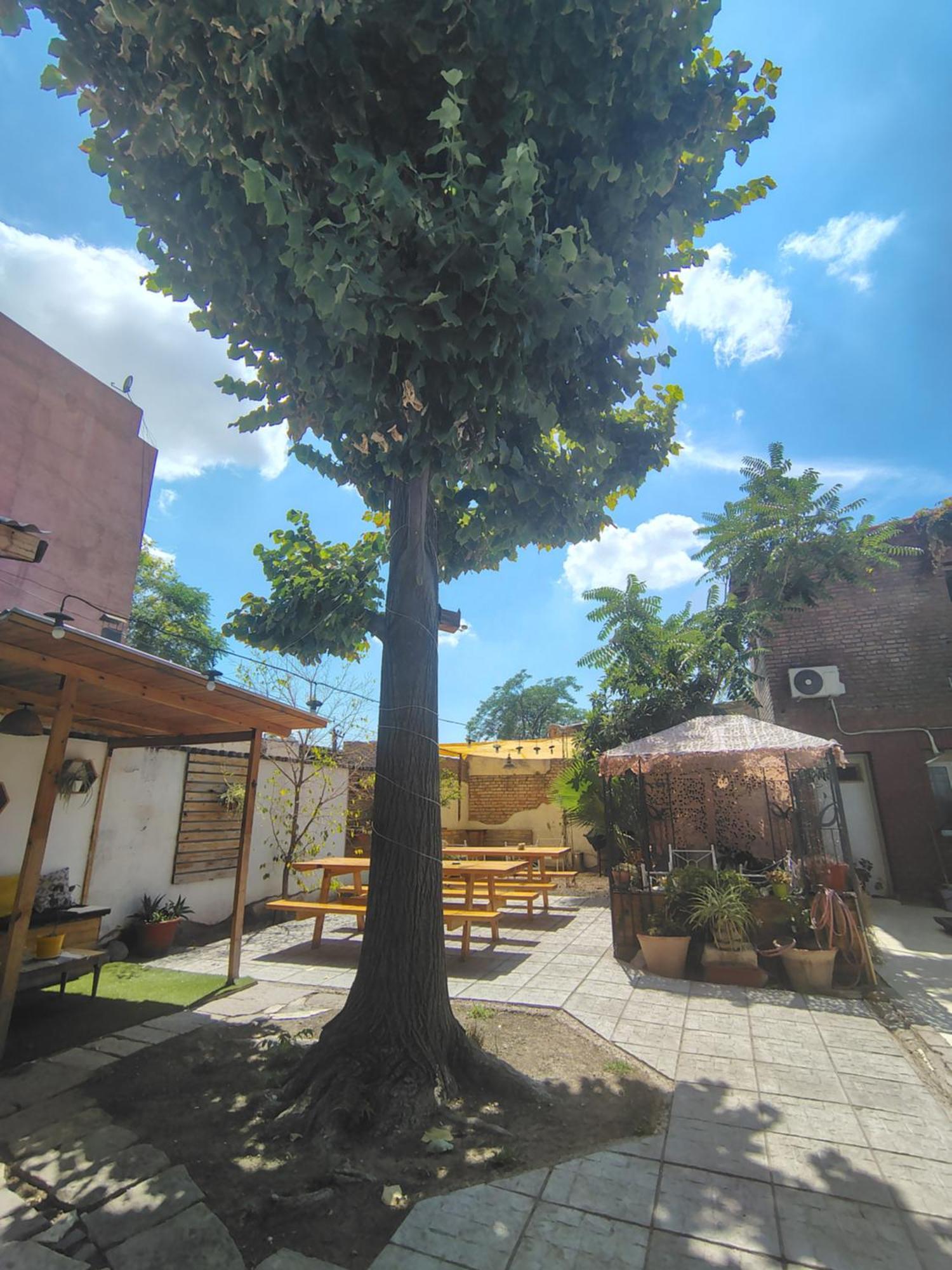 Mora Hostel Mendoza Luaran gambar